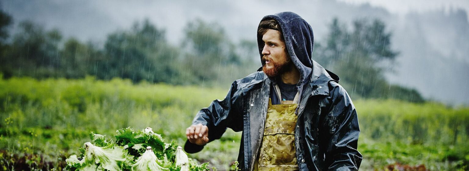 Farmer field banner 3