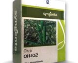 OH-102 BHENDI (OKRA) ( 102 à¤­à¤¿à¤¨à¥à¤¡à¥€ ) - Dark Green Pods, High Yield, YVMV Tolerant