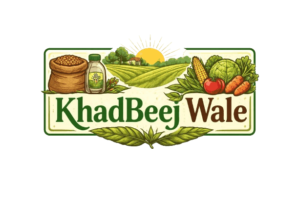 khadbeejwale.com
