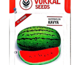 Vokkal Kavya Watermelon Seeds