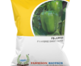 FB JUPITER F1 Hybrid Capsicum Seeds