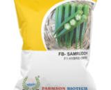 FB SAMRUDDH F1 Hybrid Bhendi Seeds