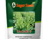 Sagar -5 F1 Val Papdi Bean Seeds