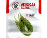 VOKKAL - YLB GREEN - Yard Long Bean