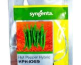 HPH 1069 Chilli Seeds
