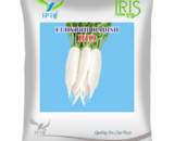 Iris Hybrid F1 Radish Rio Radish Seeds