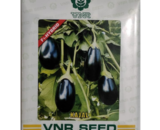 Kajal Brinjal Seeds â€“ Early Harvest, 80â€“90% Germination Rate