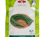 Ande Yard Long Beans Seeds â€“ High Yield, Excellent Pod Quality