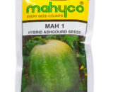 ASHGOURD HY. MAH-1