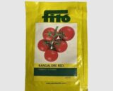 Bangalore Red Tomato - Semi- Determinate, High Yield, Firm Fruit