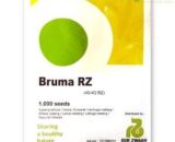 BRUMA RZ (45-43) ICEBERG LETTUCE