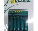 CORA F-1 GREEN ZUCCHINI