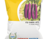 FARMSON FB-YAMINI (4070) F1 HYBRID BRINJAL (EGG PLANT) SEEDS