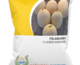 FB- ANANAS F1 HYBRID MUSKMELON SEEDS