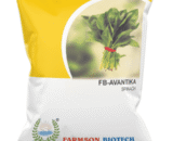 FARMSON FB-AVANTIKA SPINACH SEEDS