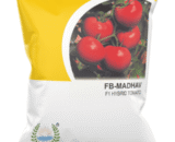 FARMSON MADHAV F1 TOMATO SEEDS (ROUND, RED) SEEDS