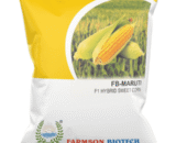 FB-MARUTI HYBRID CORN SEEDS