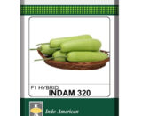 Indam 320 Bottlegourd Seeds