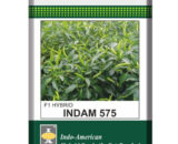Indam 575 Chilli Seeds
