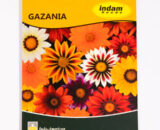 IAHS GAZANIA NEW DAY MIX