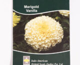 IAHS MARIGOLD VANILLA