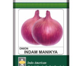 Indam Manikya Onion Seeds