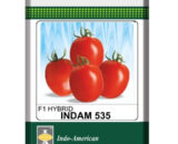 Indam 535 Tomato Seeds