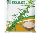 INDO US 999 SESAMUM