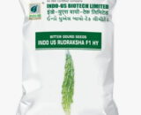 INDO US BITTERGOURD RUDRAKSHA