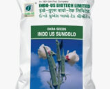 INDO US OKRA SUNGOLD OP