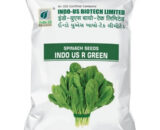 INDO US SPINACH R GREEN