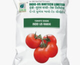 INDO US TOMATO RAKHI OP