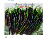 Iris Hybrid F1 HOT PEPPER NIRAALI