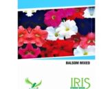 Iris Balsam Mixed Flower Seeds- White, Easy to Care, Autumn Planting