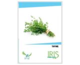 IRIS Hybrid Thyme Seeds â€“ Aromatic Herb for Kitchen & Terrace Garden
