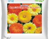 Iris Hybrid Imported OP Calendula Mix