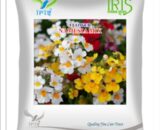 Iris Hybrid Imported OP Namesia Mix