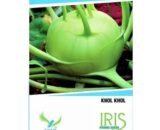 Iris Knol Khol Seeds - Winter Crop, 7-8 Weeks, Balcony Grow