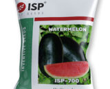 ISP700 WATERMELON