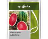 JUBILI KING Watermelon