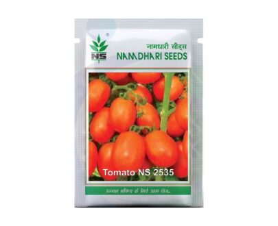NS 2535 F1 Hybrid Tomato Seeds - Early maturity, Oval, Glossy Red Fruits
