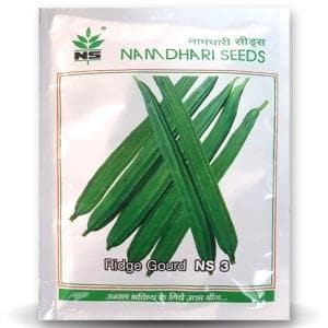 NS 3 F1 Hybrid Ridge Gourd Seeds â€“ High Yield & Early Harvest Variety by Namdhari