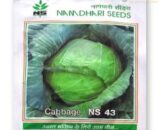 NS 43 Cabbage Seeds â€“ High-Yield, Flat Head Hybrid