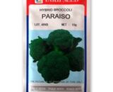PARAISO BROCCOLI