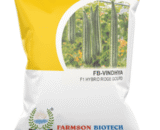 FARMSON FB- VINDHYA RIDGE GOURD SEEDS