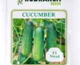 RUDRAKSH F1 NIVED CUCUMBER (GREEN, CYLINDRICAL) SEEDS