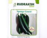 RUDRAKSH F1 NAVYA SPONGE GOURD SEEDS