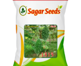 Sagar 1515 F1 Bitter gourd