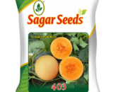 Sagar 403 Muskmelon Seeds- Round, Medium Fruit, Smooth Skin, Sweet, Aromatic