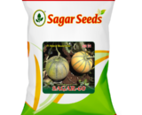 Sagar -60 F1 Muskmelon